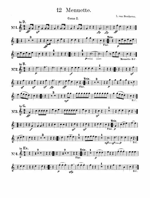 Horn 1, 2 (D/B♭/G/E♭/C/A/F)