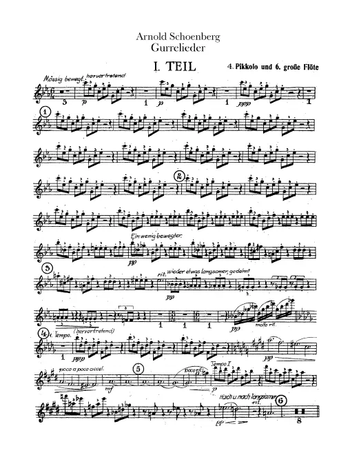 Flute 6/Piccolo 4