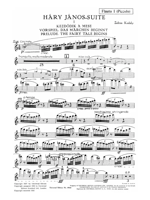 Flute 1/Piccolo