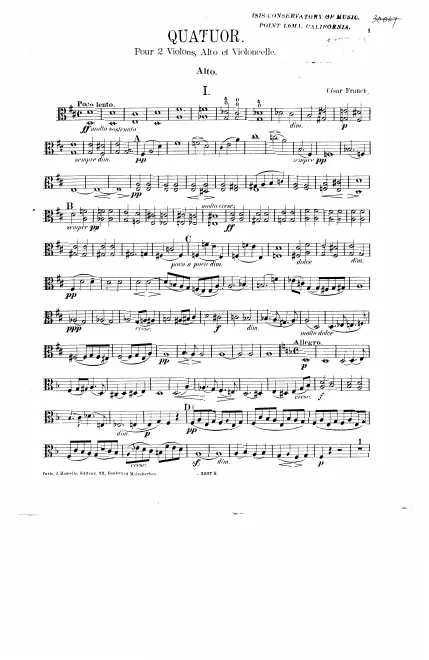 Viola