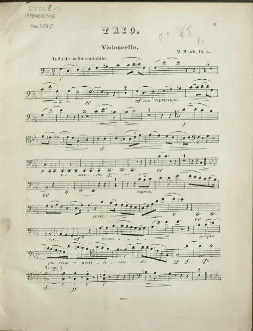 Cello