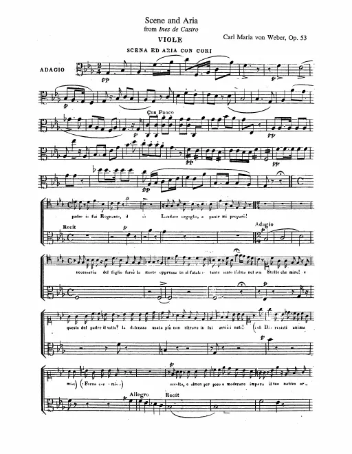 Violas