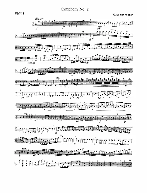 Violas