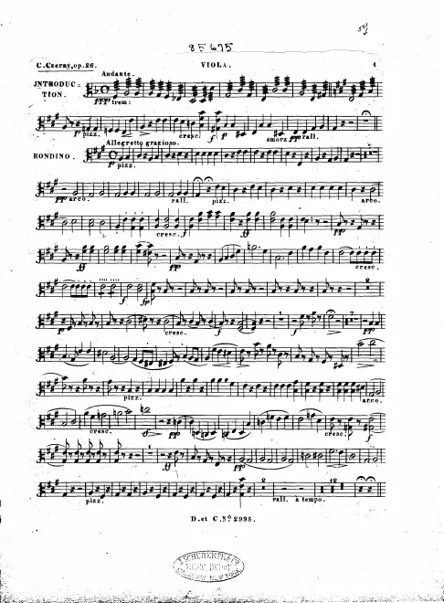 Viola