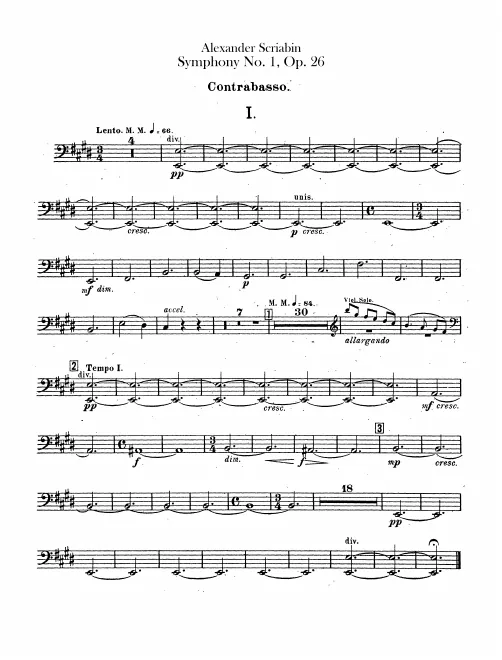 Basses