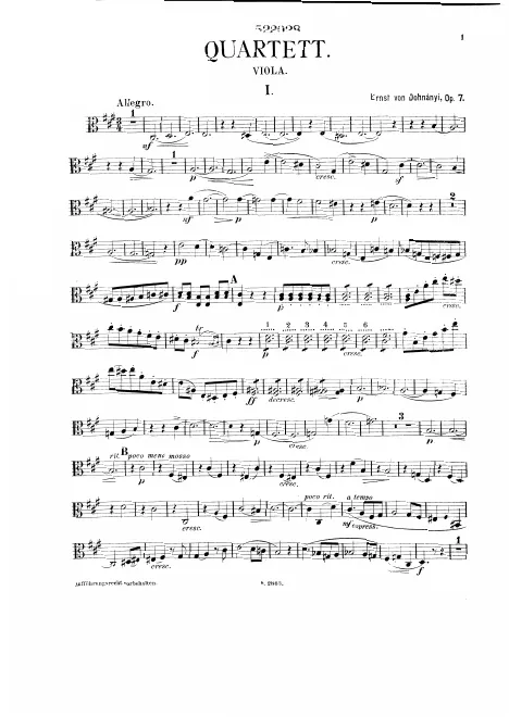 Viola