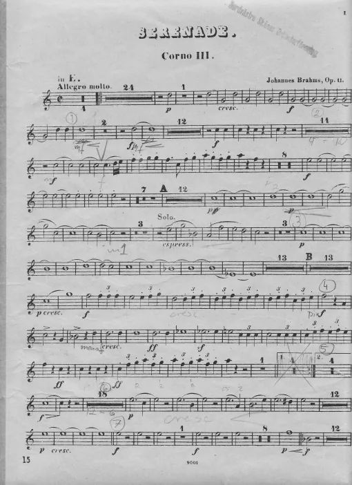 Horn 3 (E/B♭)