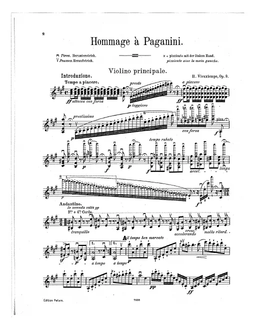 Violin