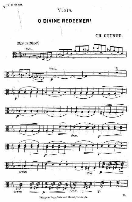 Violas
