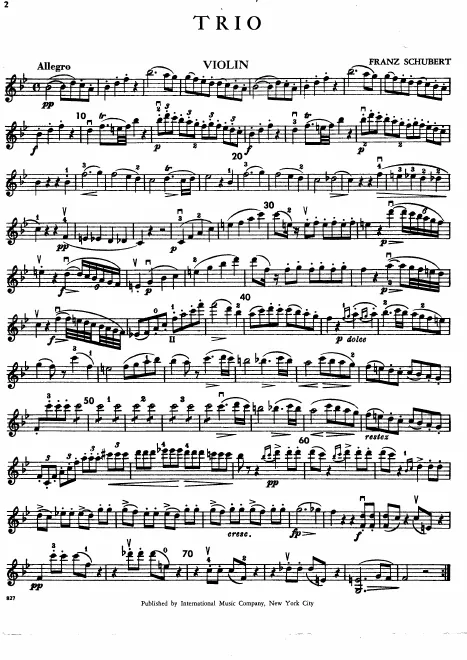 Violin