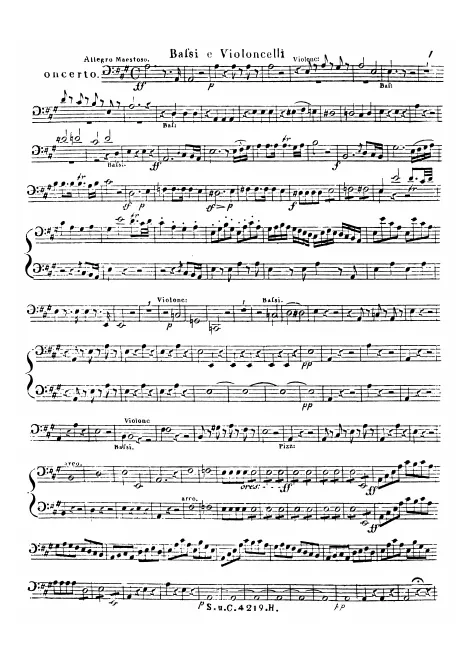 Cello/Double Bass