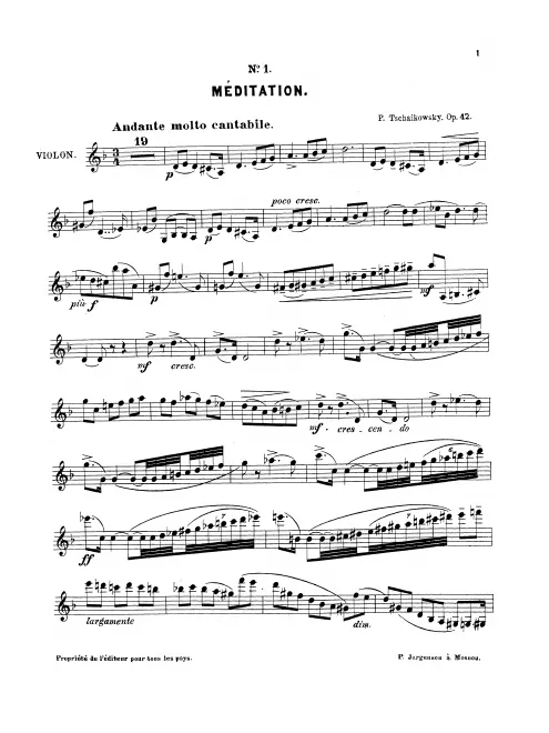 Violin