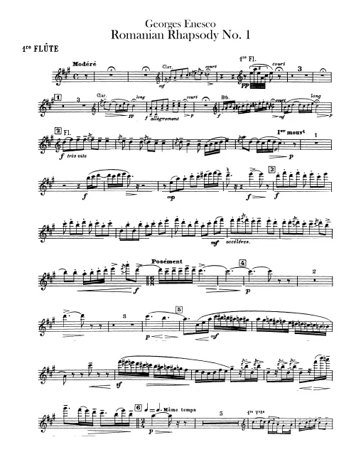 Flute 1/2 (with page turns)