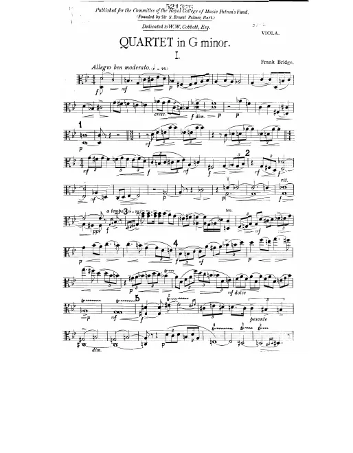 Viola