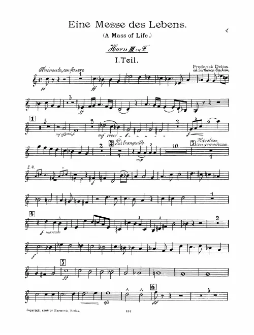 Horn 3 (F/E/E)