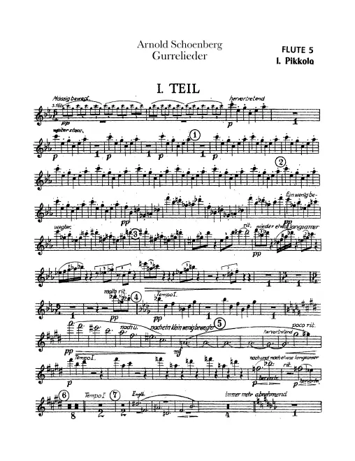 Flute 5/Piccolo 1