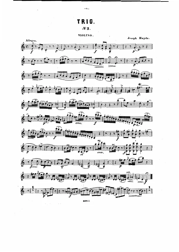 Violin