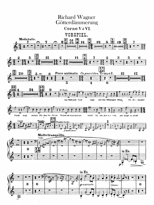 Horn 5/6 (B♭/C/D/E♭/E/F)