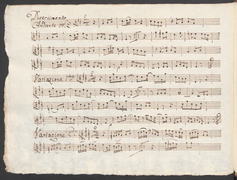Viola