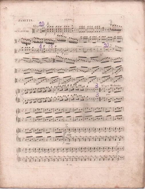Violas