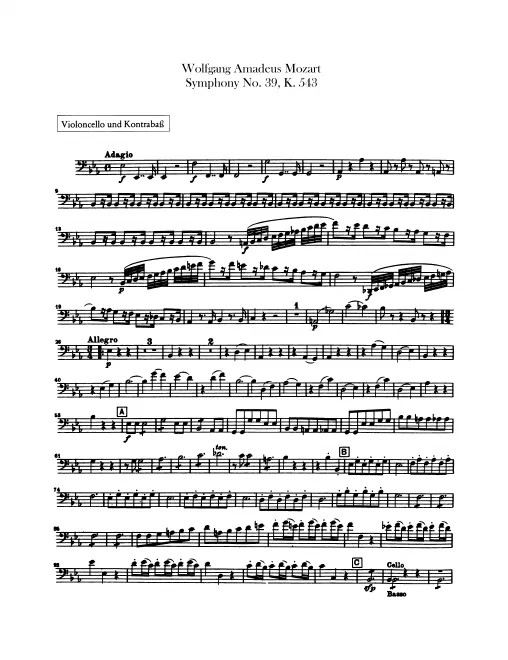 Cellos/Basses