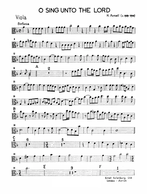 Violas