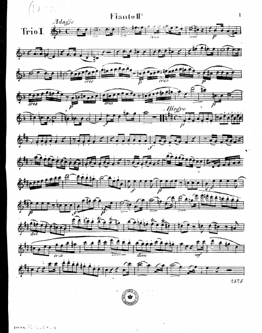 Flute 2