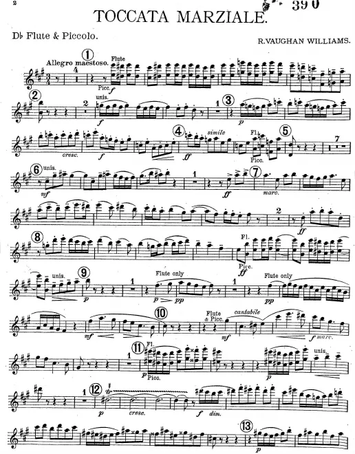 Piccolo/Flute (D♭)