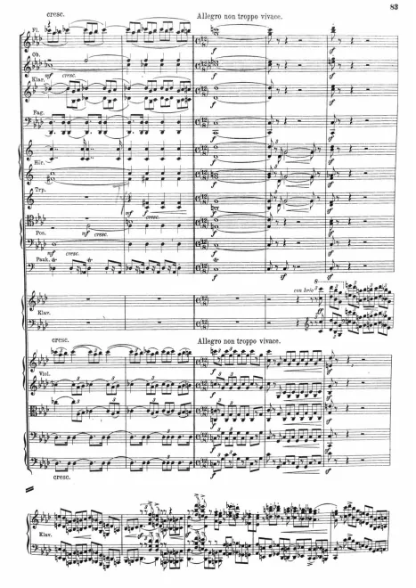 4. Allegro non troppo vivace (greyscale)