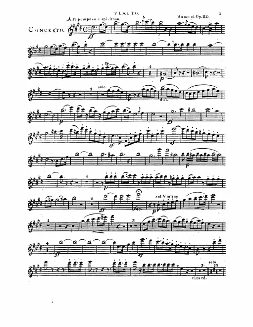 Flute