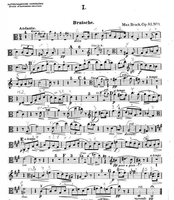 Viola