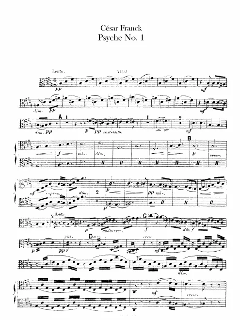 Violas