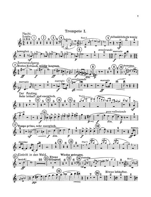 Trumpet 1 (B♭/E/C, Onstage)