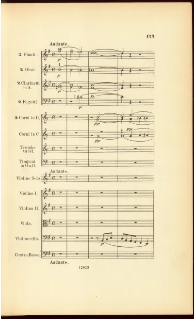 II. Andante III. Vivace