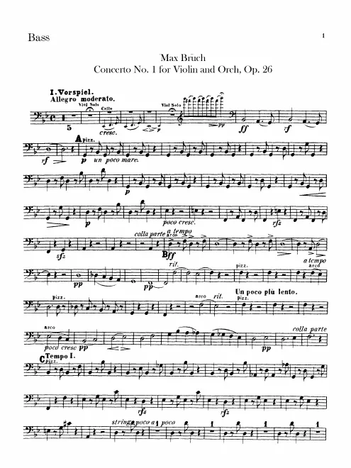 Basses