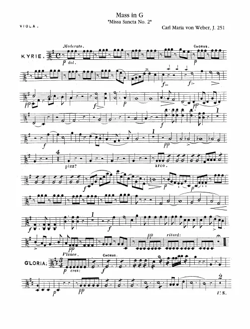 Violas