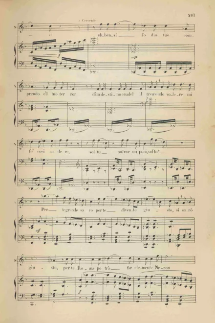 Segment 4