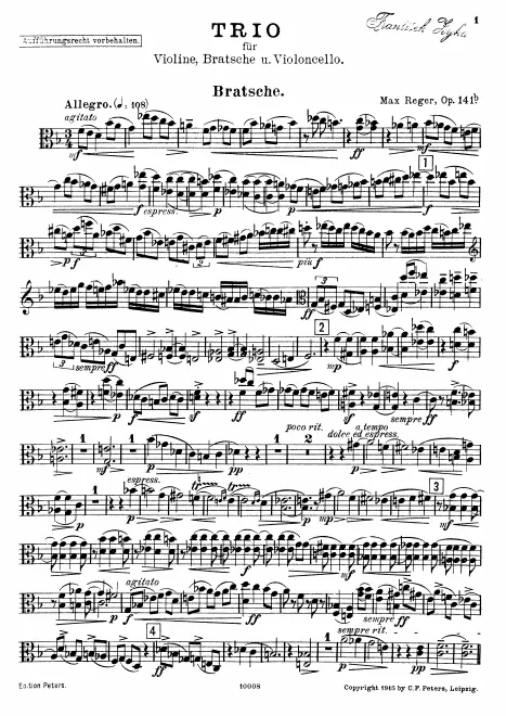 Viola