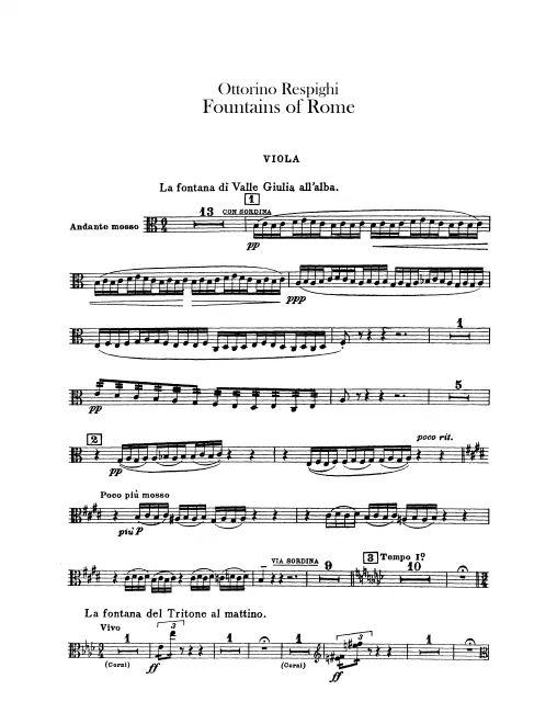 Violas