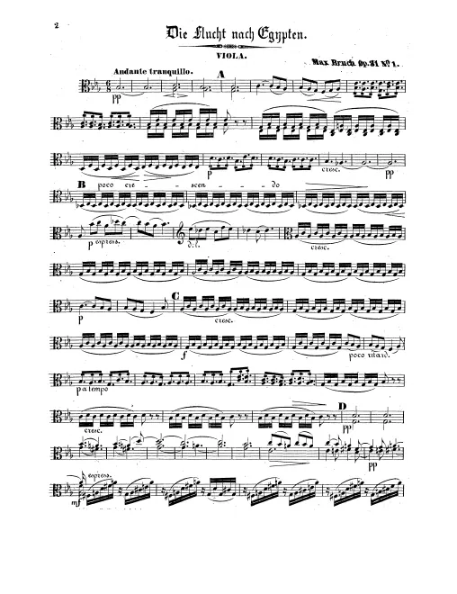 Violas