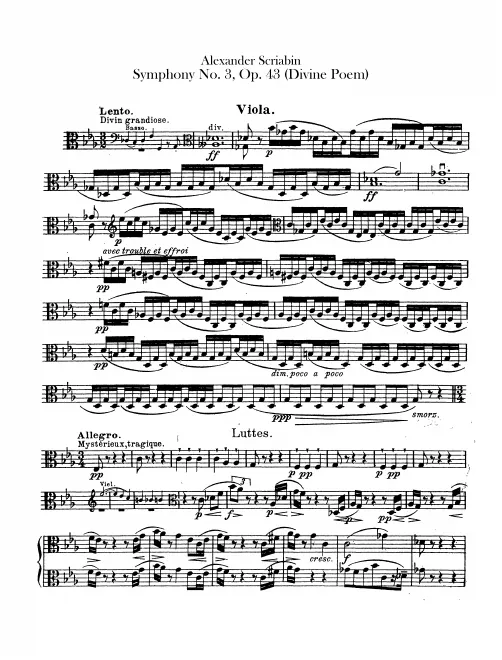 Violas