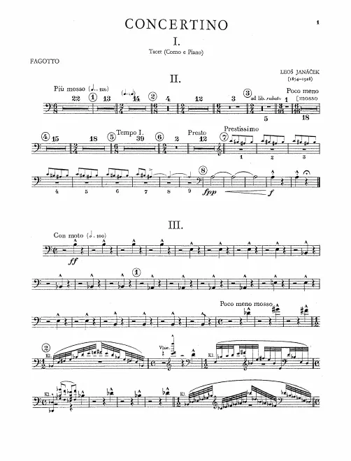 Bassoon