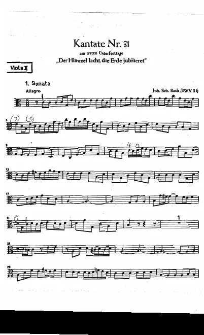 Violas II