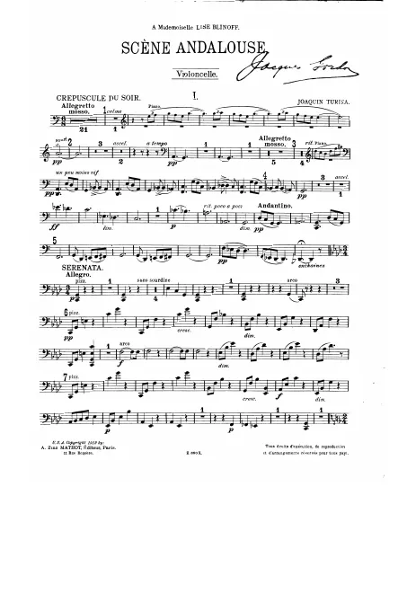 Violoncello part