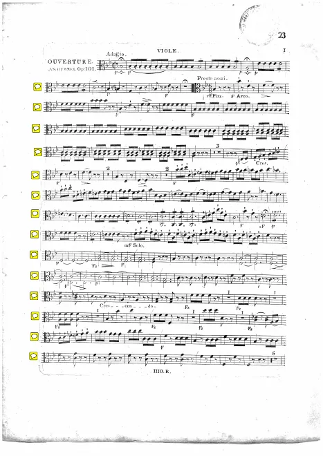 Violas