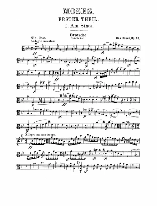 Violas