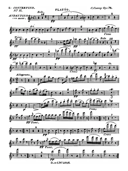 Flute