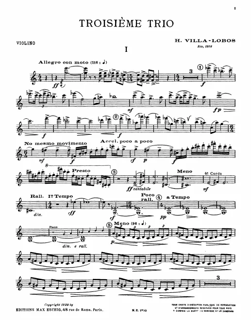 Violin