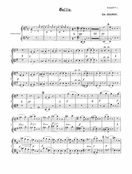 Bassoon 1/2