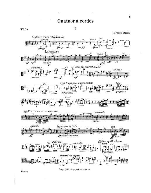 Viola